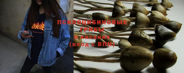 мяу мяу кристалл Покачи