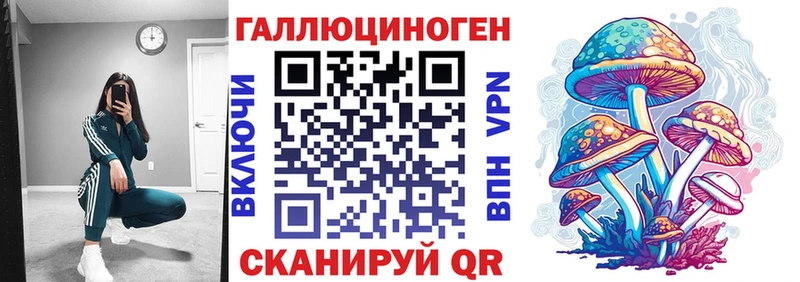 Купить где  Отрадное  Псилоцибиновые грибы Cubensis 